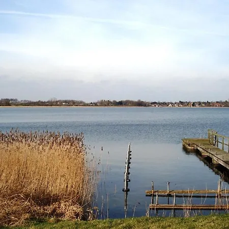 Waldblick *