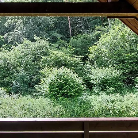 Waldblick