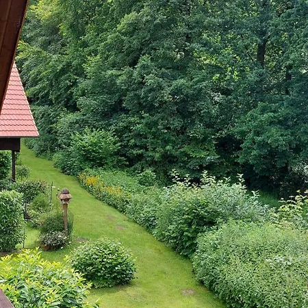 Waldblick Apartment *